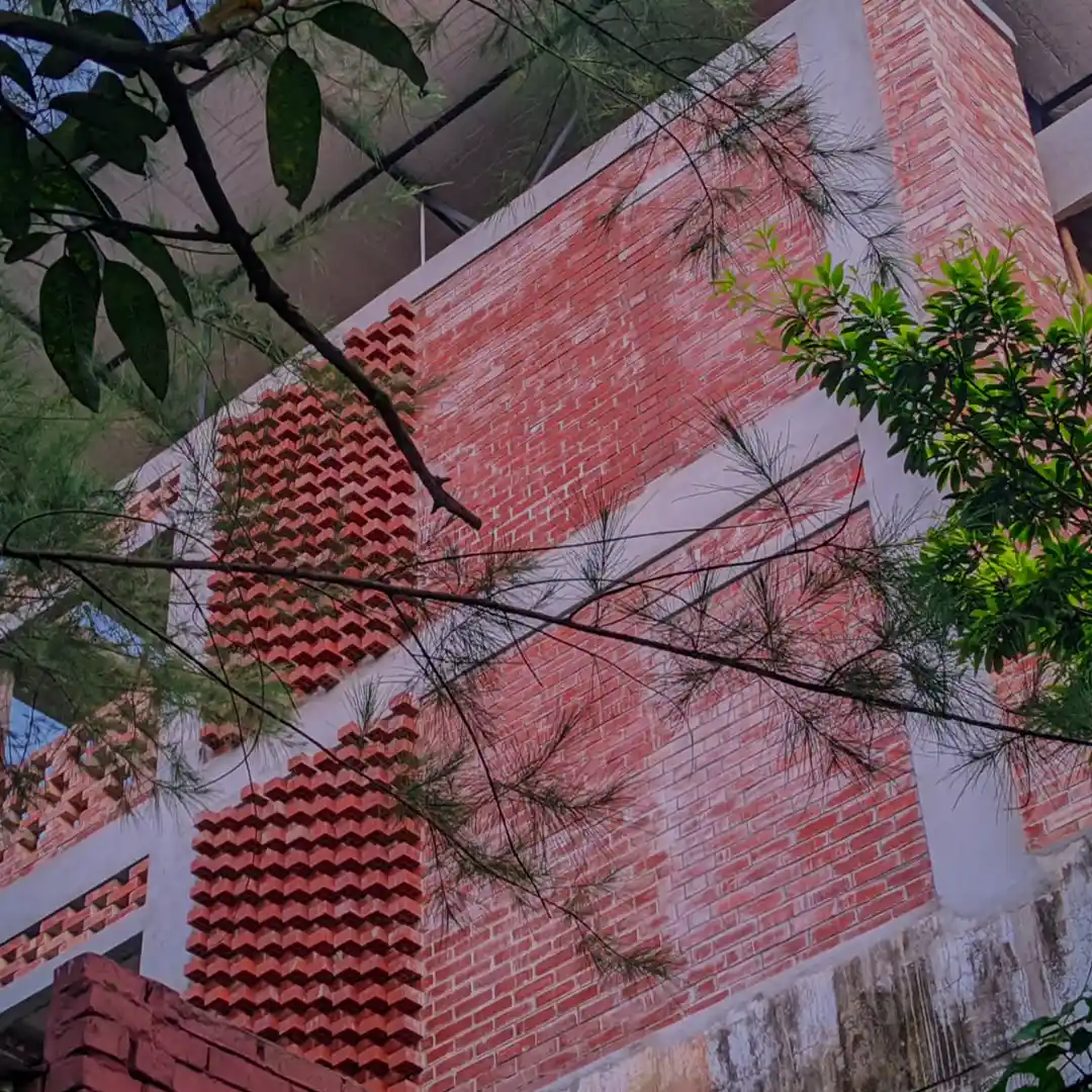 Social peristyleltd 06