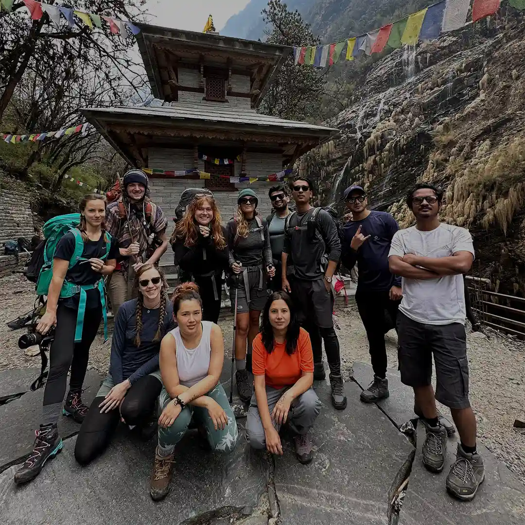 Social peristyleltd 11